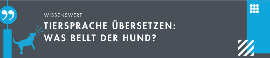 Tiersprache übersetzen: Wie macht der Hund?