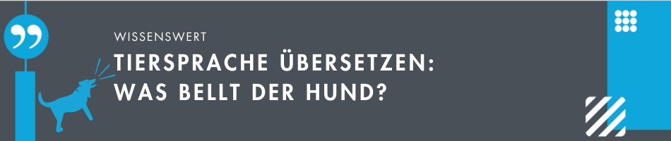 Tiersprache übersetzen: Wie macht der Hund?